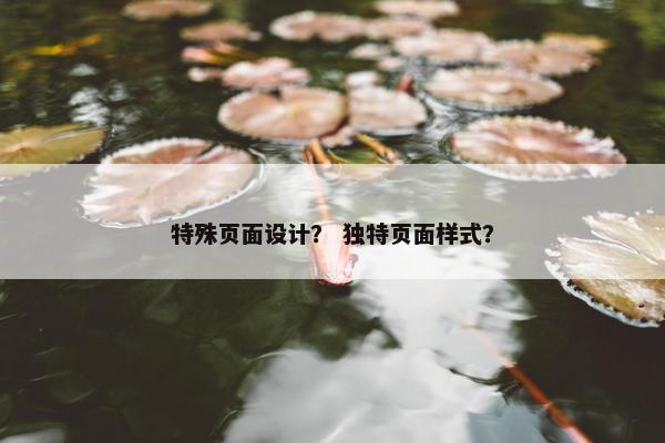 特殊页面设计？ 独特页面样式？