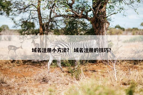 域名注册小方法？ 域名注册的技巧？