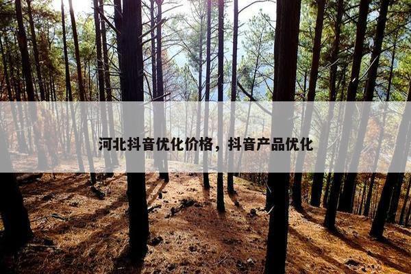 河北抖音优化价格，抖音产品优化