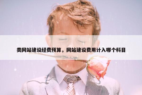 类网站建设经费预算，网站建设费用计入哪个科目