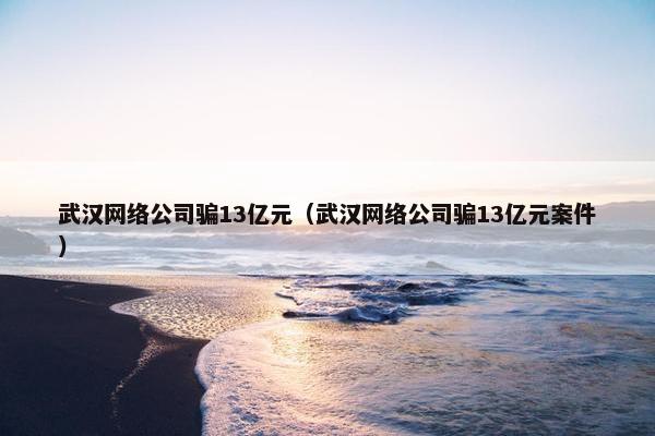 武汉网络公司骗13亿元（武汉网络公司骗13亿元案件）