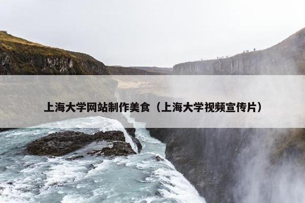 上海大学网站制作美食（上海大学视频宣传片）