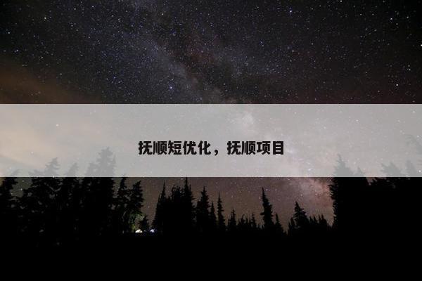 抚顺短优化，抚顺项目