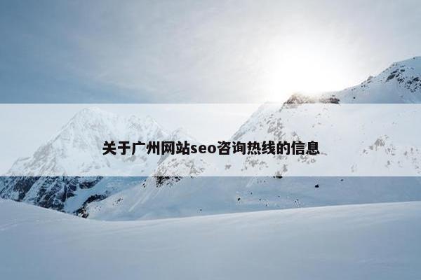 关于广州网站seo咨询热线的信息