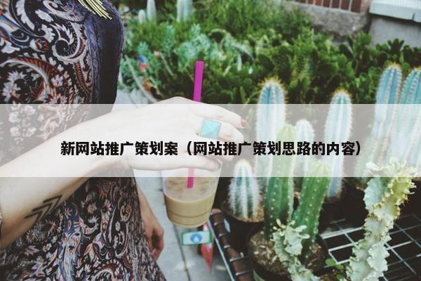 新网站推广策划案（网站推广策划思路的内容）