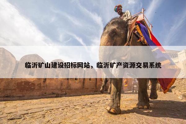 临沂矿山建设招标网站，临沂矿产资源交易系统