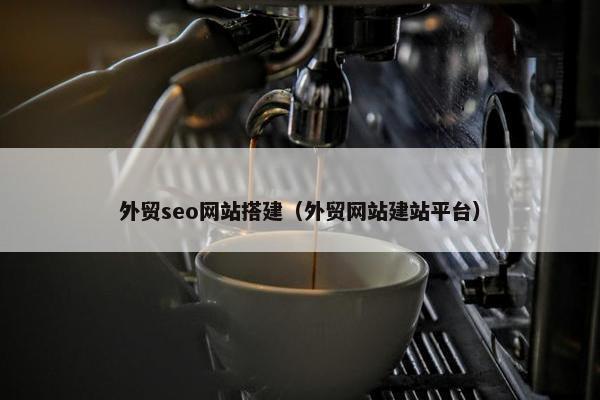 外贸seo网站搭建（外贸网站建站平台）