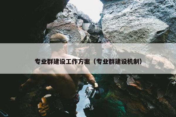 专业群建设工作方案（专业群建设机制）