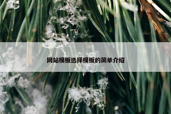 网站模板选择模板的简单介绍