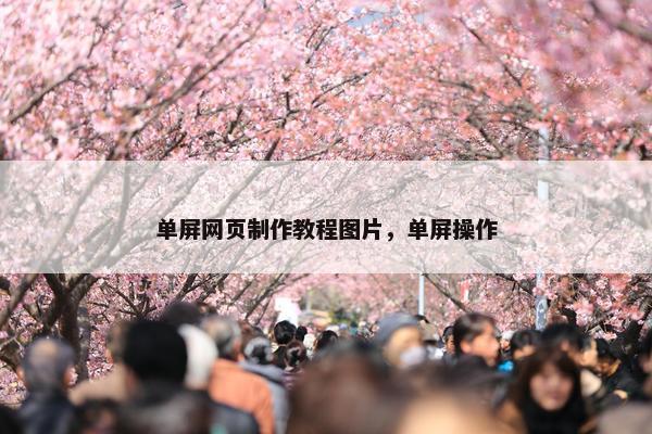 单屏网页制作教程图片，单屏操作