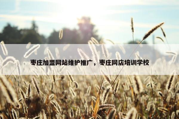 枣庄加盟网站维护推广，枣庄网店培训学校
