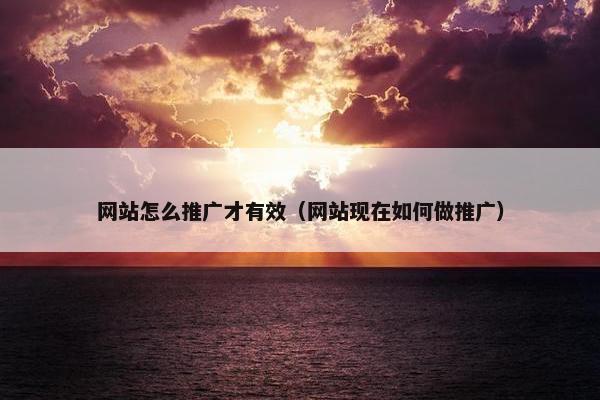 网站怎么推广才有效（网站现在如何做推广）