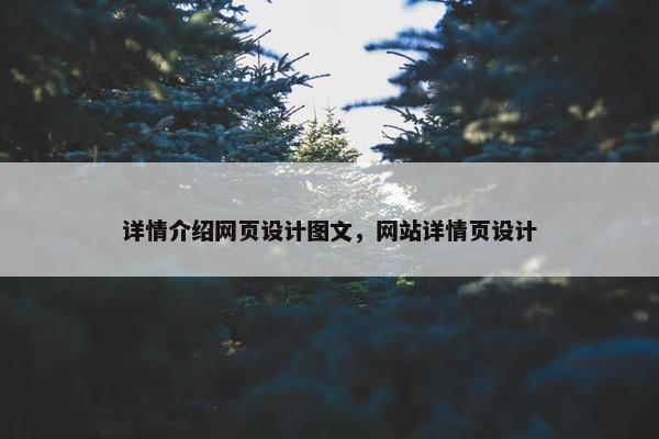 详情介绍网页设计图文，网站详情页设计