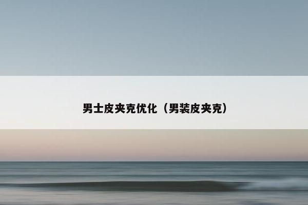 男士皮夹克优化（男装皮夹克）