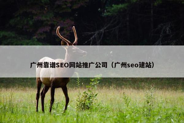 广州靠谱SEO网站推广公司（广州seo建站）