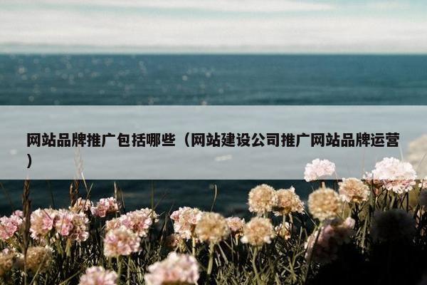 网站品牌推广包括哪些（网站建设公司推广网站品牌运营）