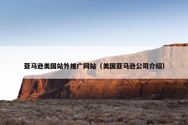 亚马逊美国站外推广网站（美国亚马逊公司介绍）