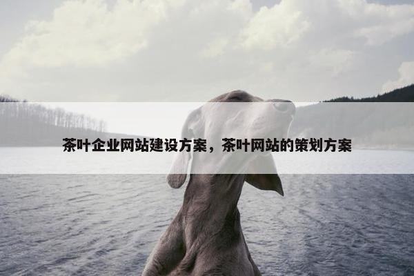 茶叶企业网站建设方案，茶叶网站的策划方案