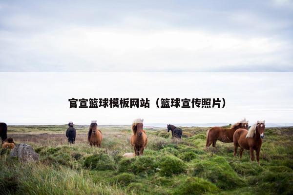 官宣篮球模板网站（篮球宣传照片）