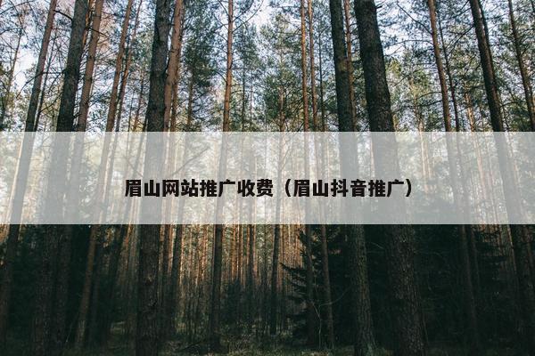 眉山网站推广收费（眉山抖音推广）