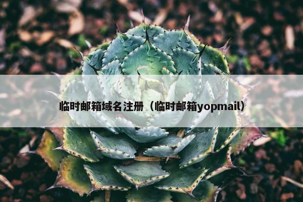 临时邮箱域名注册（临时邮箱yopmail）