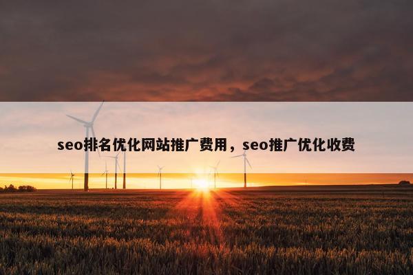 seo排名优化网站推广费用，seo推广优化收费
