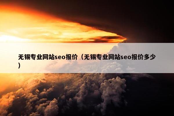 无锡专业网站seo报价（无锡专业网站seo报价多少）
