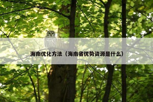 海南优化方法（海南省优势资源是什么）