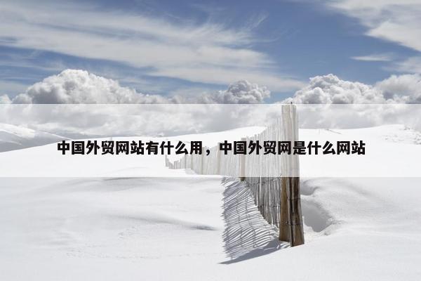 中国外贸网站有什么用，中国外贸网是什么网站
