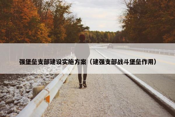 强堡垒支部建设实施方案（建强支部战斗堡垒作用）