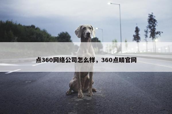 点360网络公司怎么样，360点睛官网