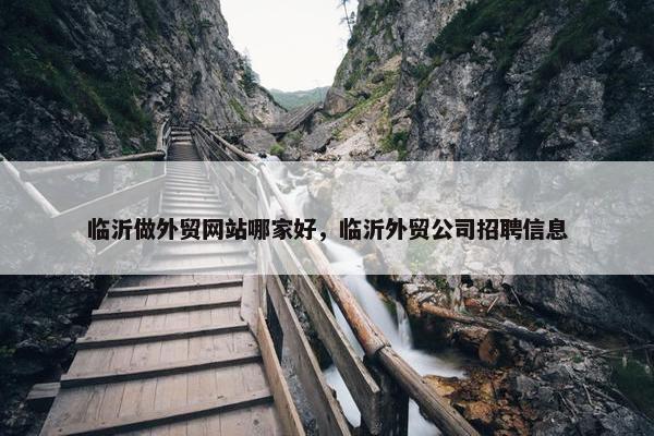 临沂做外贸网站哪家好，临沂外贸公司招聘信息