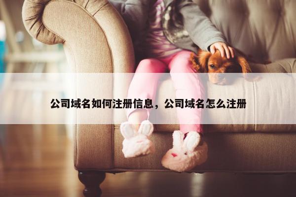 公司域名如何注册信息，公司域名怎么注册