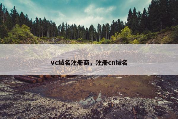 vc域名注册商，注册cn域名