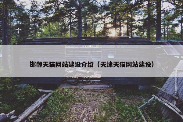 邯郸天猫网站建设介绍（天津天猫网站建设）