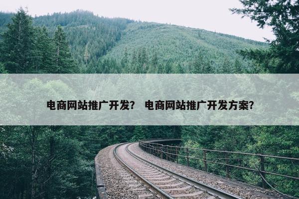 电商网站推广开发？ 电商网站推广开发方案？
