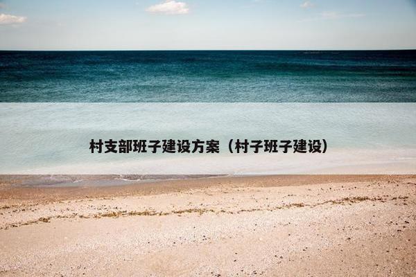 村支部班子建设方案（村子班子建设）