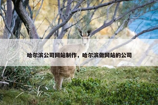 哈尔滨公司网站制作，哈尔滨做网站的公司