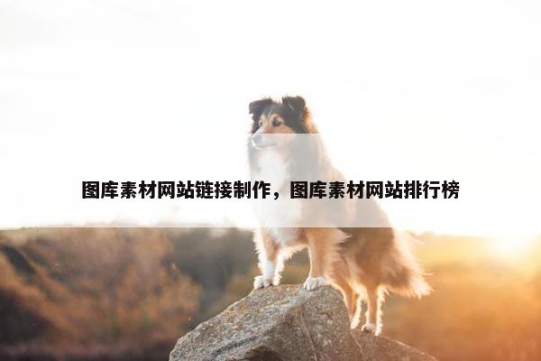 图库素材网站链接制作，图库素材网站排行榜