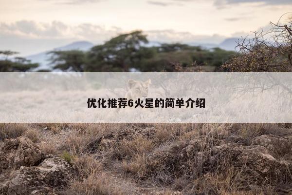 优化推荐6火星的简单介绍