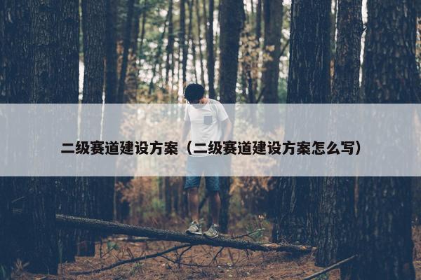 二级赛道建设方案（二级赛道建设方案怎么写）