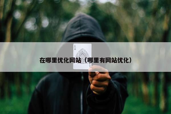 在哪里优化网站（哪里有网站优化）