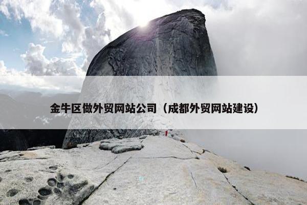 金牛区做外贸网站公司（成都外贸网站建设）