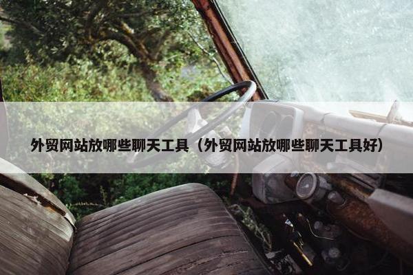 外贸网站放哪些聊天工具（外贸网站放哪些聊天工具好）