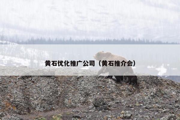 黄石优化推广公司（黄石推介会）