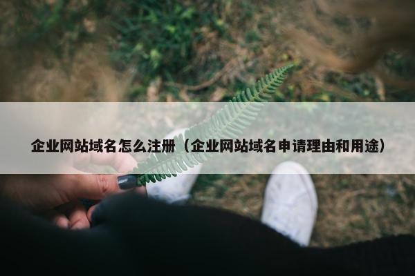 企业网站域名怎么注册（企业网站域名申请理由和用途）