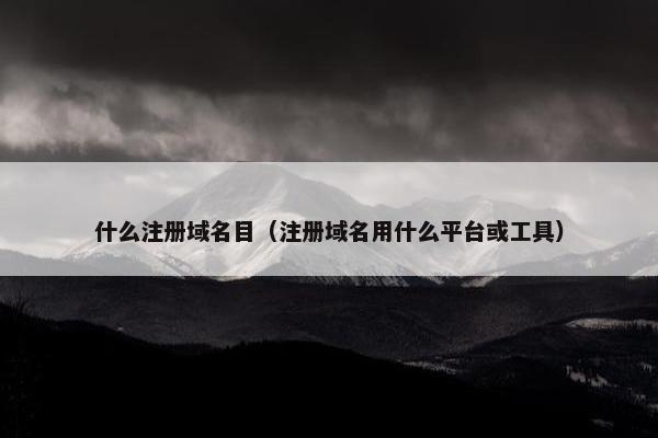 什么注册域名目（注册域名用什么平台或工具）