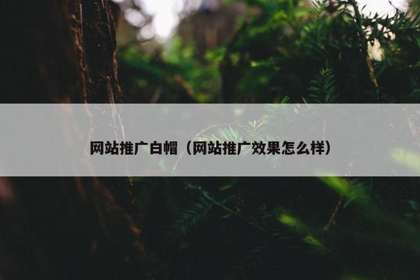 网站推广白帽（网站推广效果怎么样）