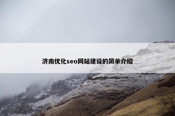 济南优化seo网站建设的简单介绍