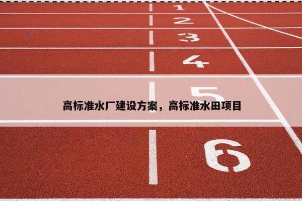 高标准水厂建设方案，高标准水田项目